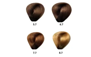 BES HI-FI PERMANENT HAIR COLOR / TOBACCO BROWNS