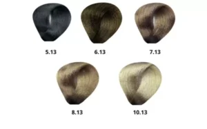 BES HI-FI PERMANENT HAIR COLOR / cenere-dorati